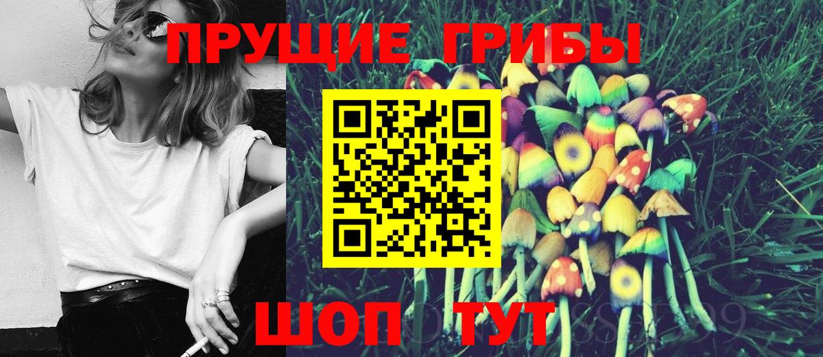 Псилоцибиновые грибы прущие грибы Нижний Новгород
