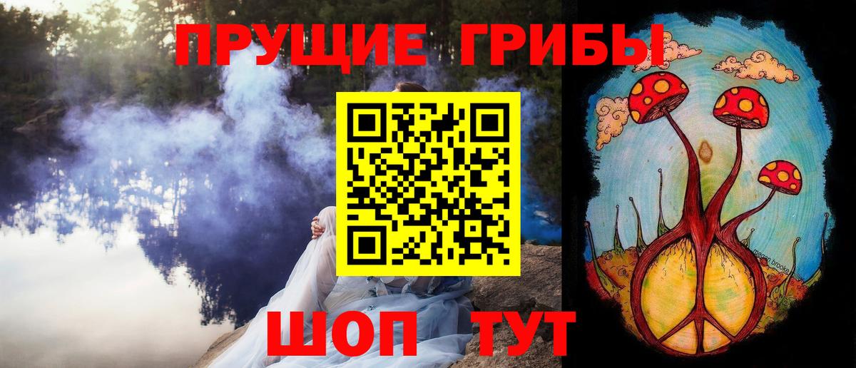 наркошоп  Нижний Новгород  Псилоцибиновые грибы Magic Shrooms 