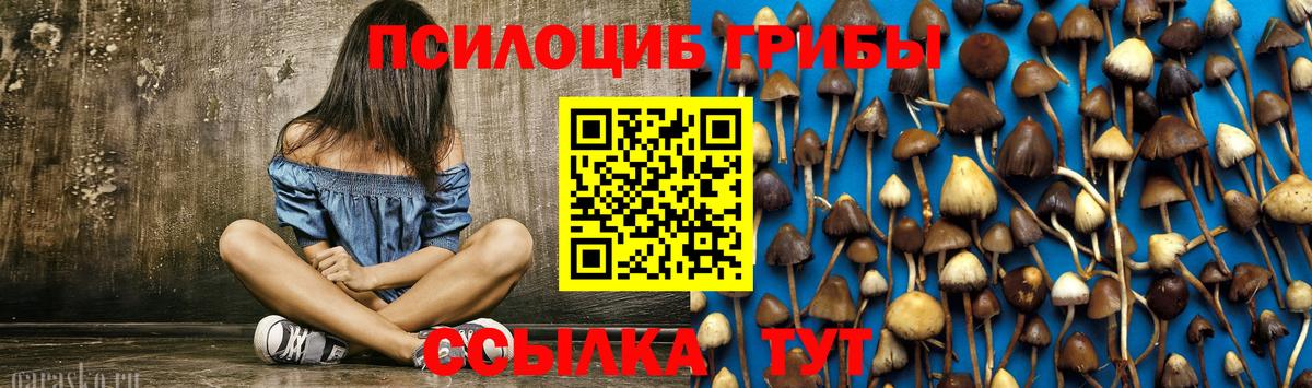 Галлюциногенные грибы Magic Shrooms  Галлюциногенные грибы Cubensis  Нижний Новгород  цена наркотик  Вход с VPN 